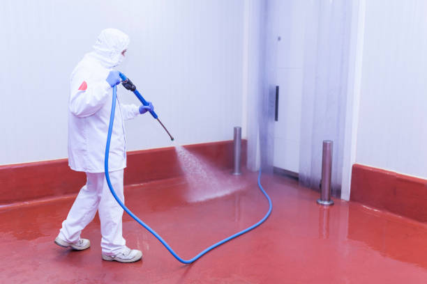 Best Rust Removal  in Parsippany, NJ